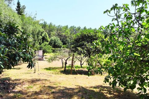 Herregård i Sintra, Lisbon, Sintra - € 1 799 000 | Ref: W-02WOZX - foto 36